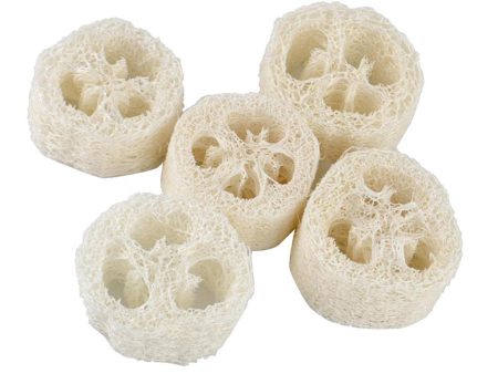 Maxbell Maxbell 5 Pieces Natural Loofah Luffa Pot Bowl Sponge Scrubber for Outdoor Hiking Cheap