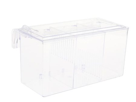 Maxbell Maxbell Fish Breeding Box Double Guppies Hatching Incubator Isolation Box  L For Discount