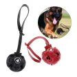 Maxbell Maxbell Pet Dog Puppy Toy Hollow Ball with Rope Handle Easy to Throw Black Hot on Sale