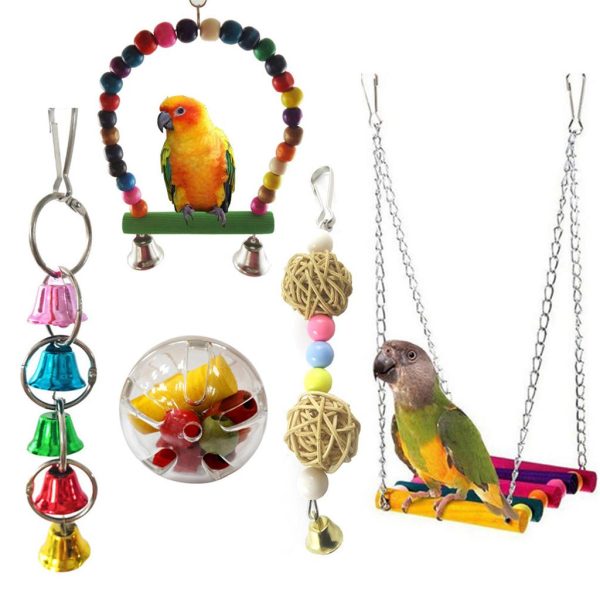 Maxbell Maxbell Bird Foraging Feeder Hanging Intelligence Toy Cage Feeder Five-piece suit Supply